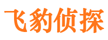 丰镇市调查公司